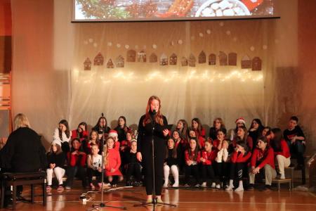 Božično-novoletni koncert Osnovne šole Toma Brejca  (52)
